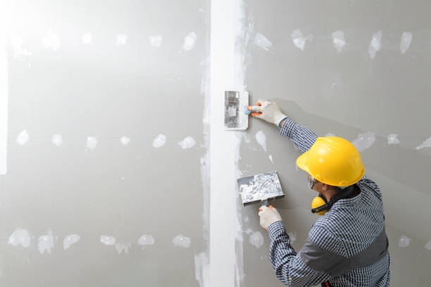 Best Drywall Patching  in Eaton, IN